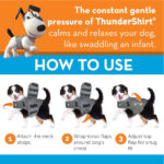 ceva-dog-thundershirt-gallery-5