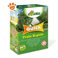 AL.FE Quick Prato Rapido