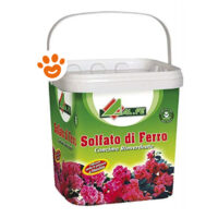 Secchio di solfato di ferro per piante