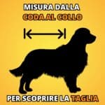 camon-taglia-cappottino-impermeabile