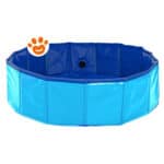 leopet-piscina-cani