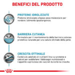 royal-canin-dog-veterinary-diets-hypoallergenic-puppy-gallery-2