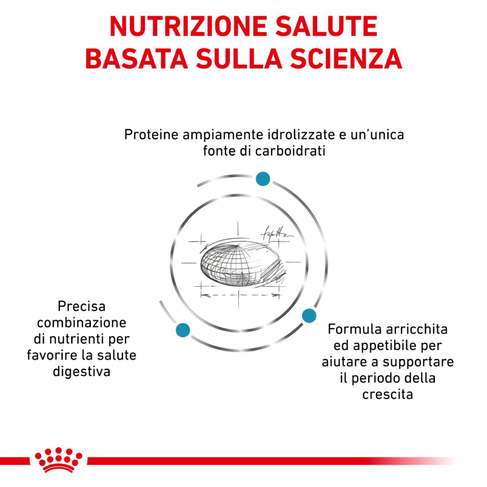 royal-canin-dog-veterinary-diets-hypoallergenic-puppy-gallery