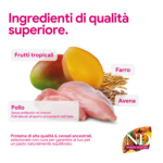 Ingredienti premium: pollo, mango, farro e avena