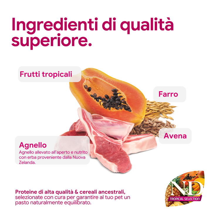 Papaya, agnello e cereali su sfondo chiaro