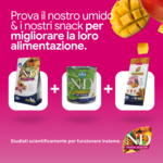 Prodotti N&D umido e snack per animali