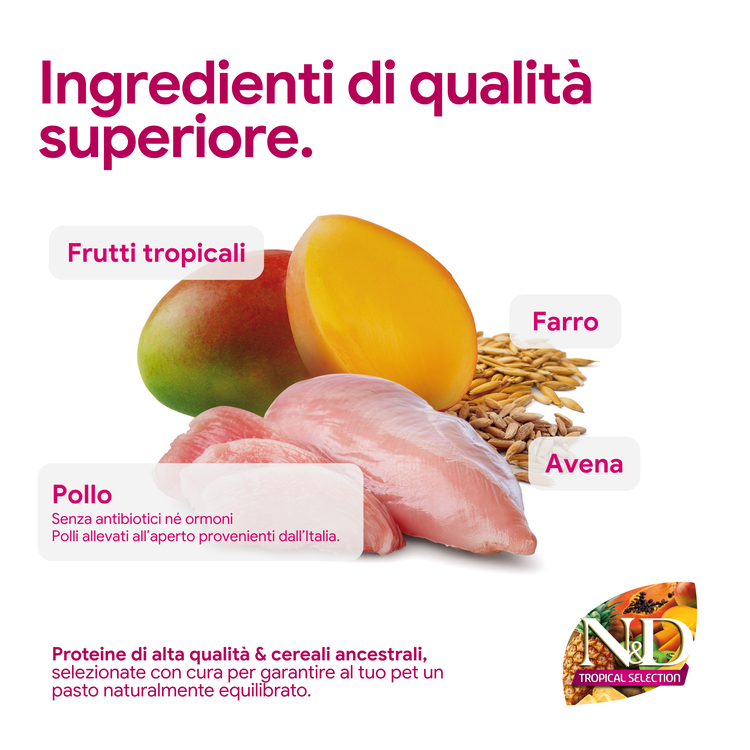 Ingredienti premium: pollo, mango, farro e avena