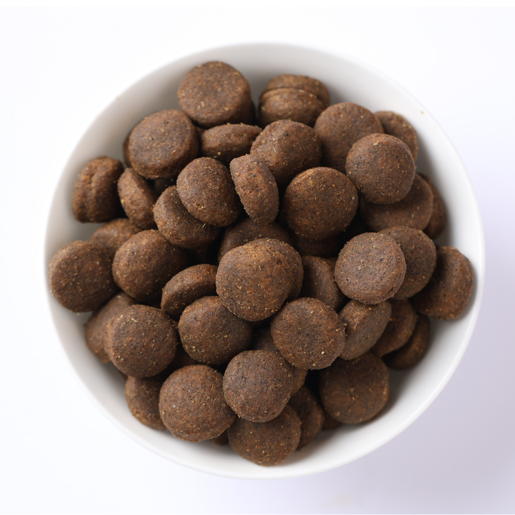 Ciotola di crocchette per cani marroni