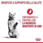 RC-FCN-AppetiteControlPouchGravy-CV-1-it_IT