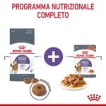 RC-FCN-AppetiteControlPouchGravy-CV-3-it_IT