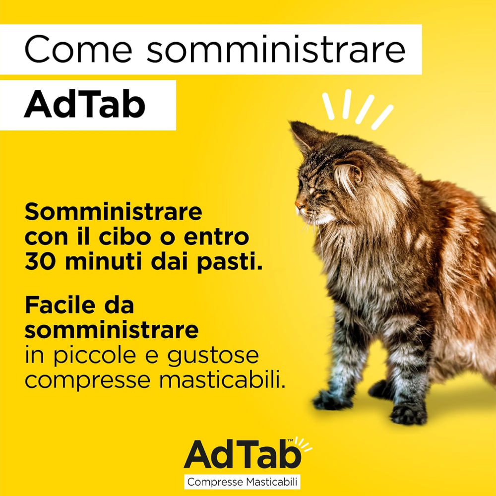 elanco-cat-adtab-compresse-masticabili-gallery (2)