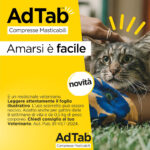 elanco-cat-adtab-compresse-masticabili-gallery (4)