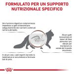 RC-VHN-GastrointestinalHairballCatDry-CV-Eretailkit-2-it_IT.pdf