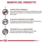 RC-VHN-GastrointestinalHairballCatDry-CV-Eretailkit-4-it_IT.pdf