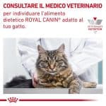 RC-VHN-GastrointestinalHairballCatDry-CV-Eretailkit-9-it_IT.pdf