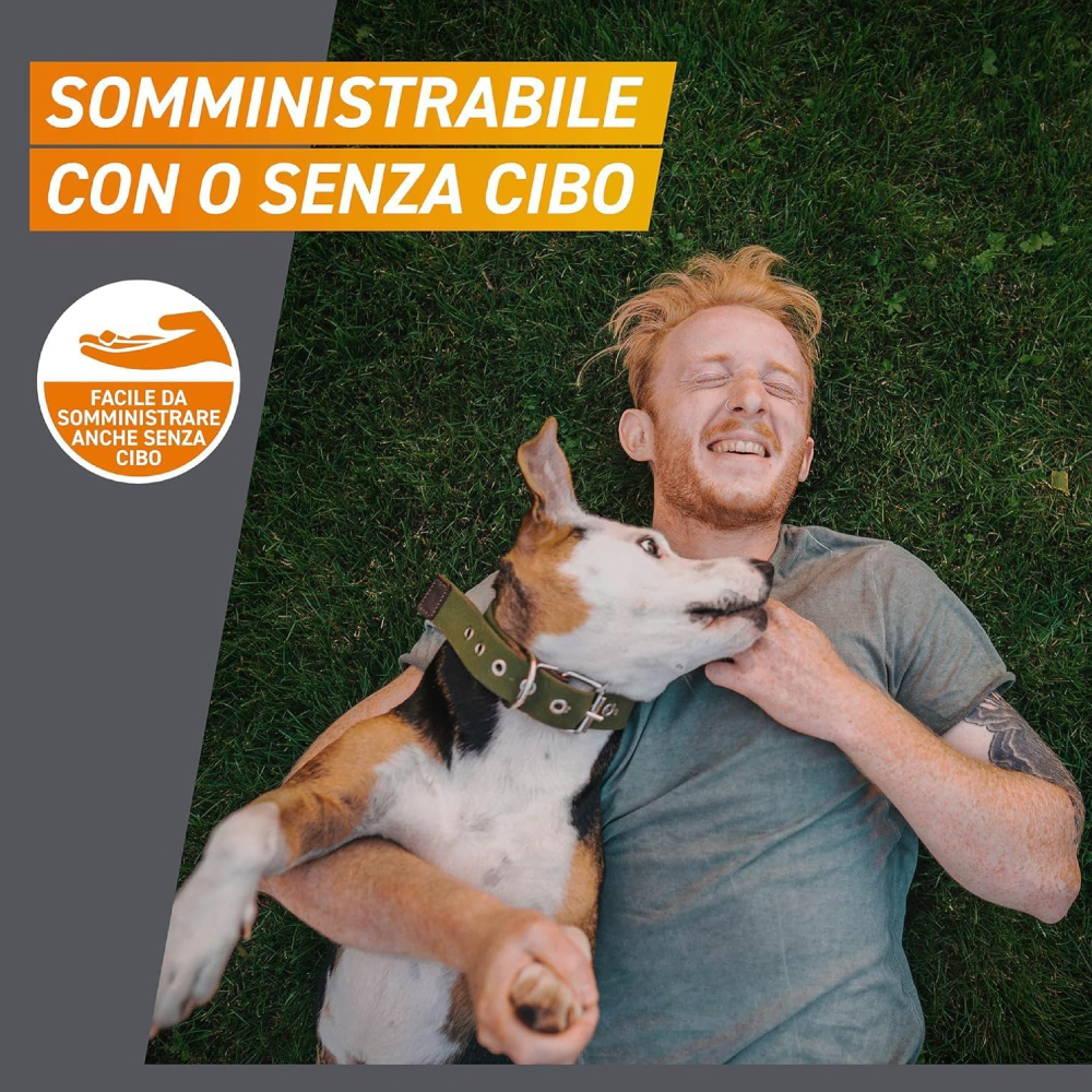 frontline-dog-frontpro-compresse-masticabili-per-cani-4-10kg-gallery-3