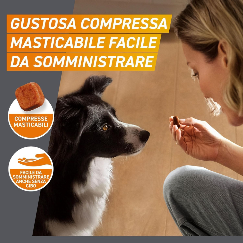 frontline-dog-frontpro-compresse-masticabili-per-cani-4-10kg-gallery