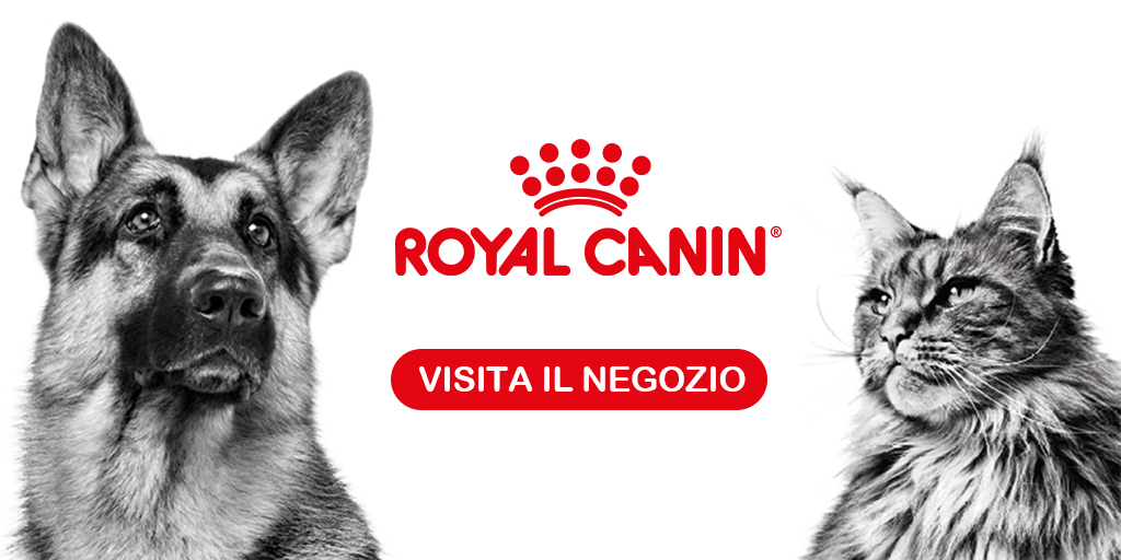 Amore Animale Shop Negozio online vendita prodotti e accessori per animali