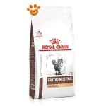 rc-vd-gastro-hairball