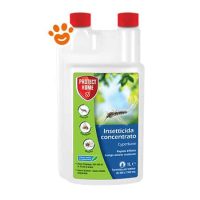 Protect Home Cyperbase