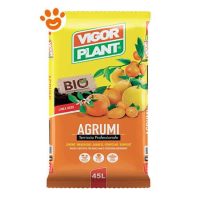 Vigorplant Orto Terriccio per Agrumi