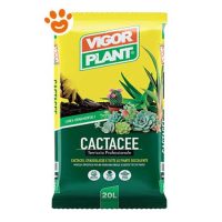 Vigorplant Ornamentali Terriccio per Cactacee