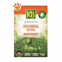 KB Evergreen Dichondra Repens