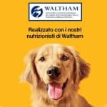 PEDIGREE-Biscrok-Multi-Mix (5)