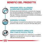 royal-canin-dog-veterinary-diets-anallergenic-small-gallery-2