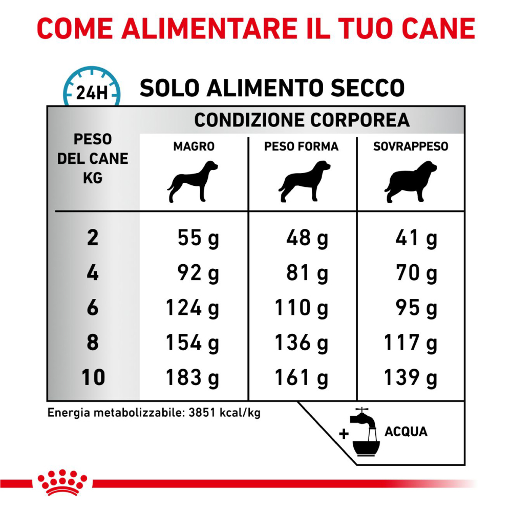 royal-canin-dog-veterinary-diets-anallergenic-small-gallery-3
