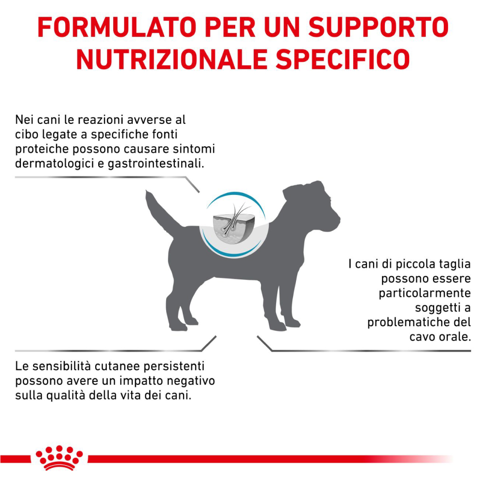 royal-canin-dog-veterinary-diets-anallergenic-small-gallery-6