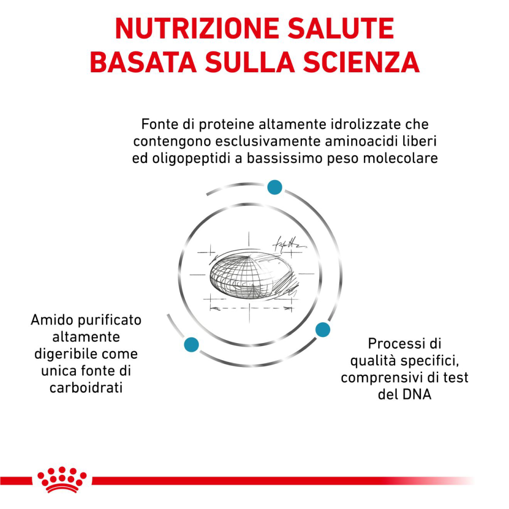 royal-canin-dog-veterinary-diets-anallergenic-small-gallery