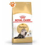 rc-cat-adut-persian