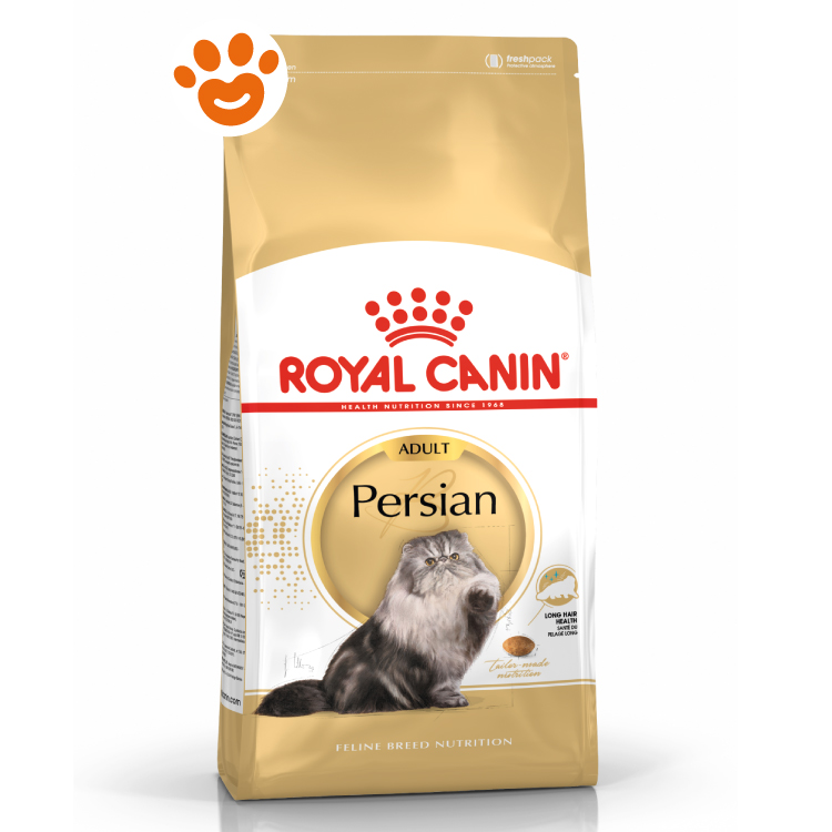 rc-cat-adut-persian