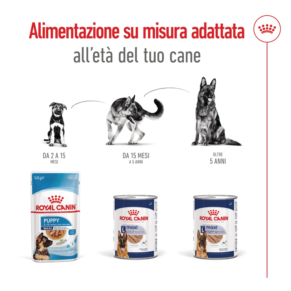 royal-canin-shn-dog-maxi-adult-gallery-3