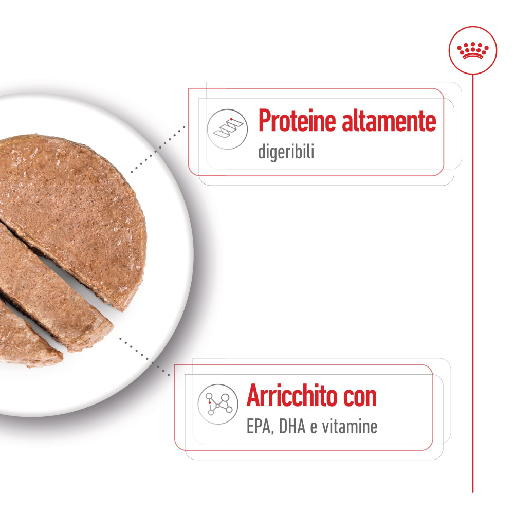 Fette di carne con proteine altamente digeribili
