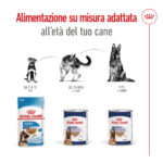Cibo Royal Canin per età del cane