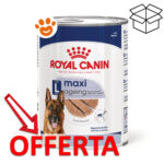 Scatoletta Royal Canin Maxi Ageing in offerta