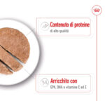 Alimento umido per animali ricco di proteine