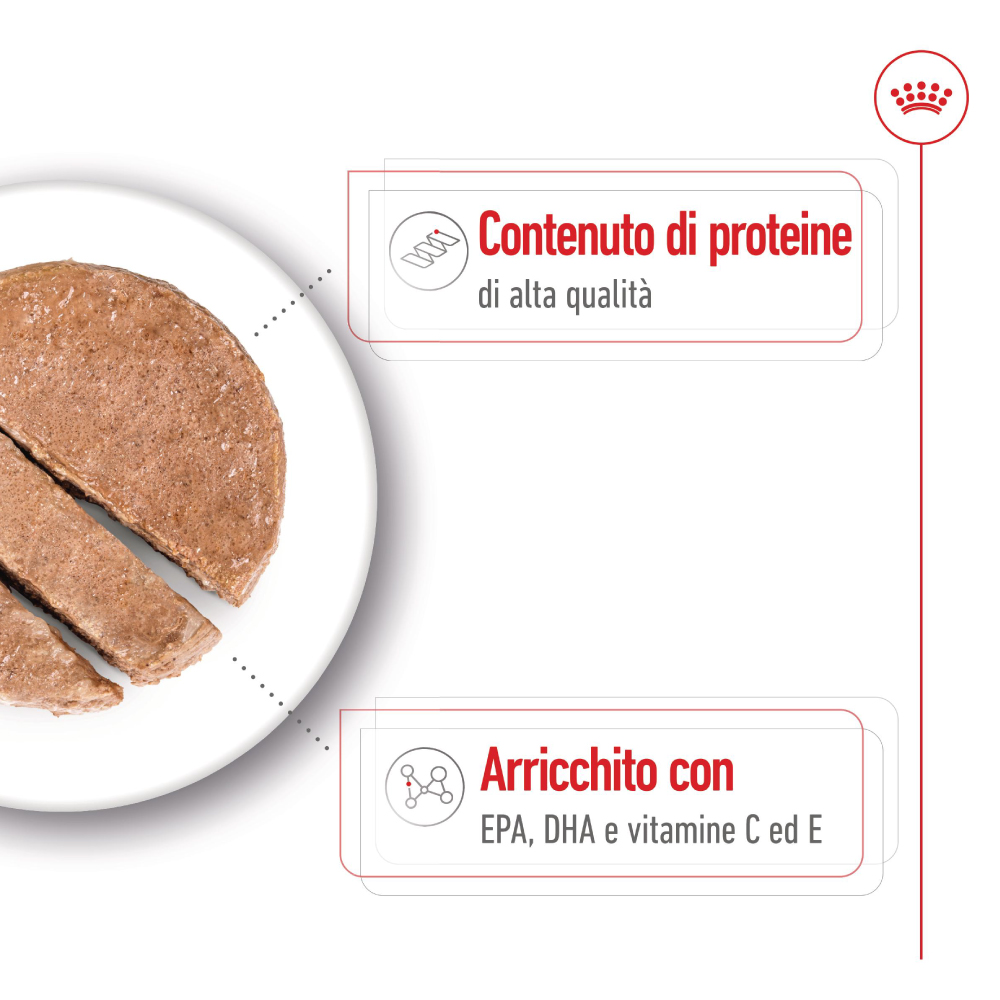 Alimento umido per animali ricco di proteine
