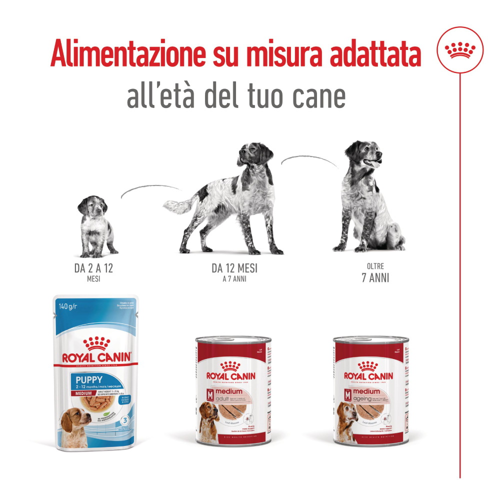Alimentazione su misura per ogni età del cane