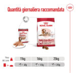 Tabella quantità giornaliera Royal Canin Medium Ageing 10+
