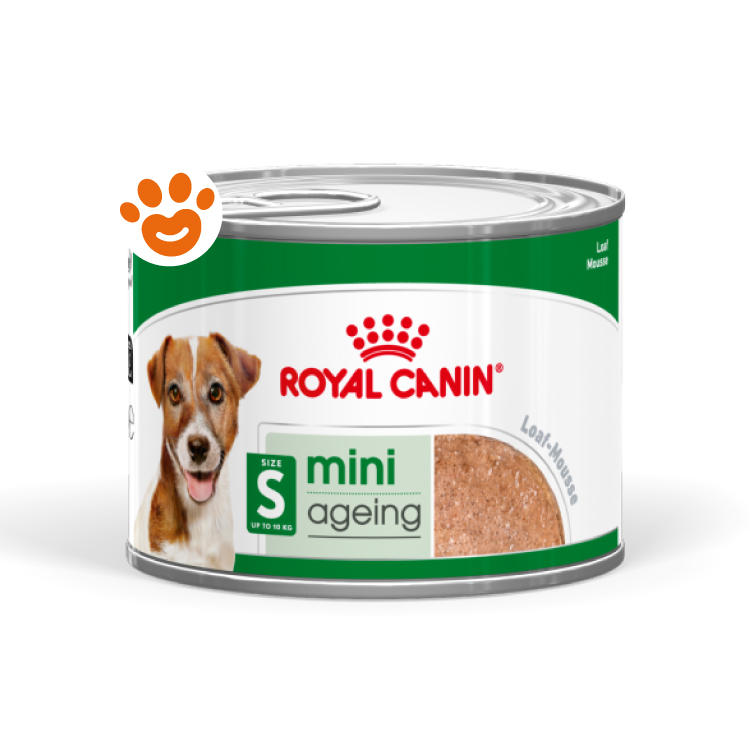 royal-canin-shn-dog-mini-adult-lattina