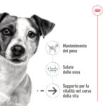 Cucciolo con messaggi su salute e peso