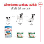 Alimentazione Royal Canin per età del cane