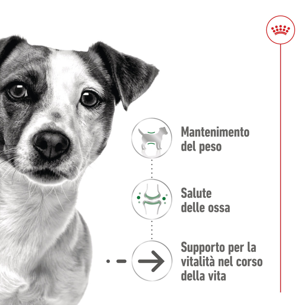 Cucciolo con messaggi su salute e peso