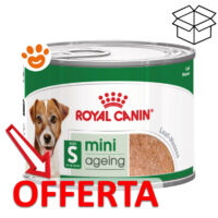 Lattina Royal Canin Mini Ageing in offerta
