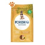 f10-dog-puppy-medium-maxi-pollo