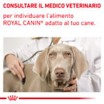 royal-canin-dog-veterinary-diets-neutered-adult-7