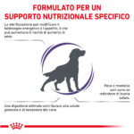 royal-canin-dog-veterinary-diets-neutered-adult-gallery